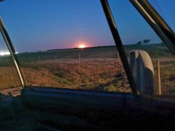 2023-09-29 SALAMANDRA II